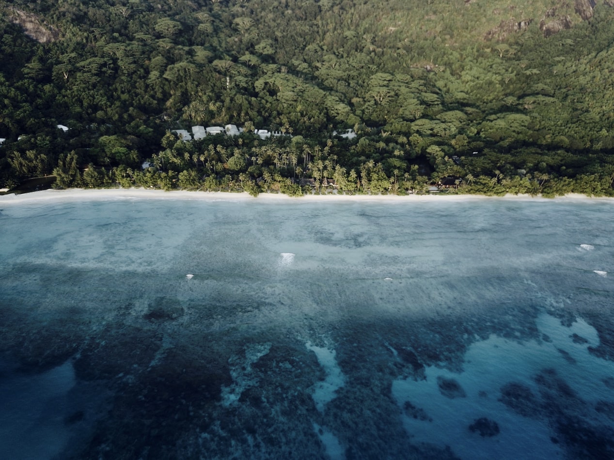 Emoções & Prestígio